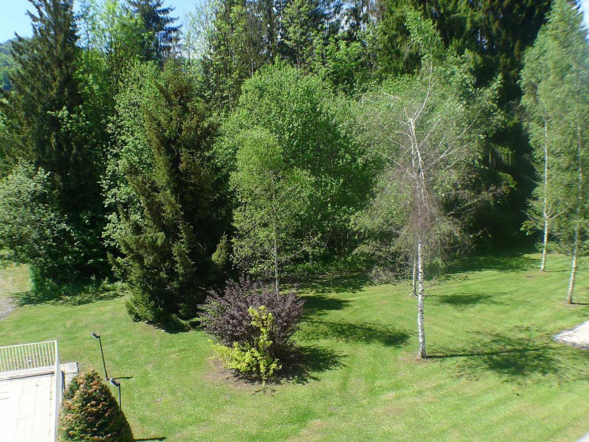 Appartement Cosy Avec Piscines, Parking Et Wifi A Samoens - Fr-1-629-32 Bagian luar foto